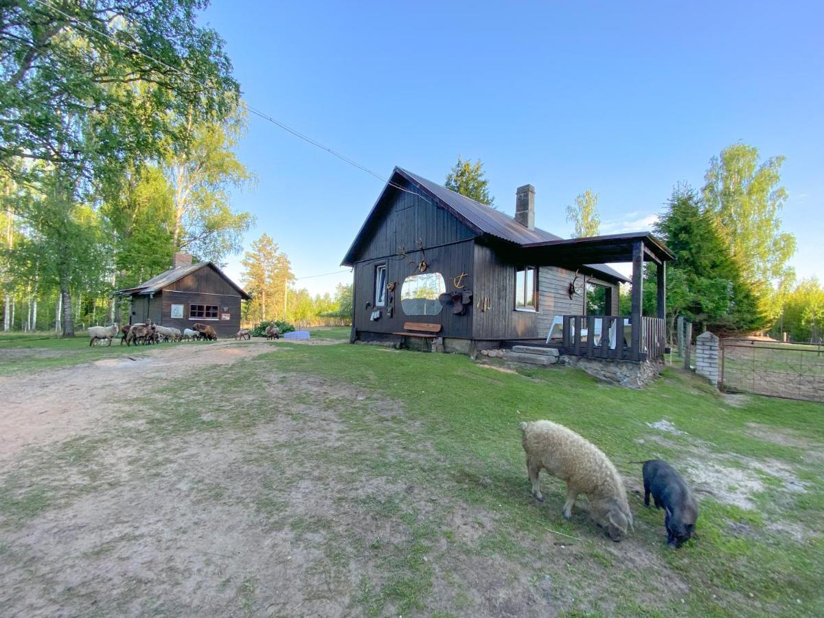 Private Farm Jakuzzi Sauna In The Forest Talsi Exterior foto